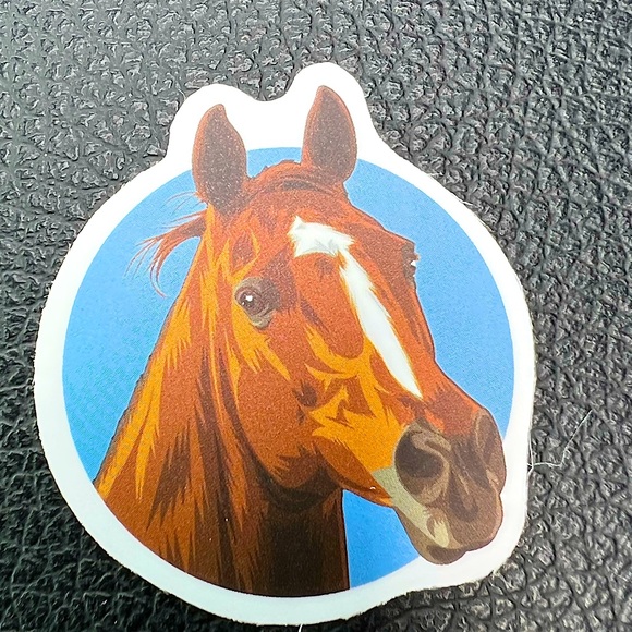 Red Horse Pony Equestrian Western English Cowboy Cowgirl Decor Sticker - Picture 1 of 4